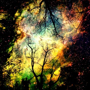 Night Universe by Sean Bean